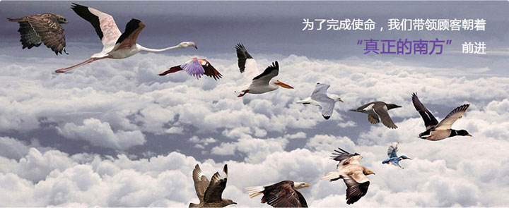 ������Ϣ��˾